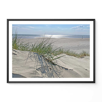 Sand Dunes On A Tranquil Beach