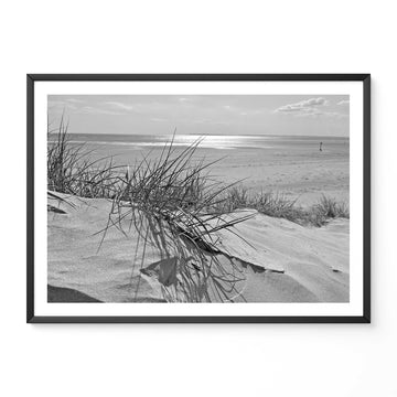 Sand Dunes On A Tranquil Beach | Black and White