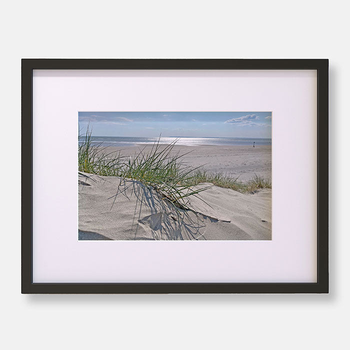 Sand Dunes On A Tranquil Beach