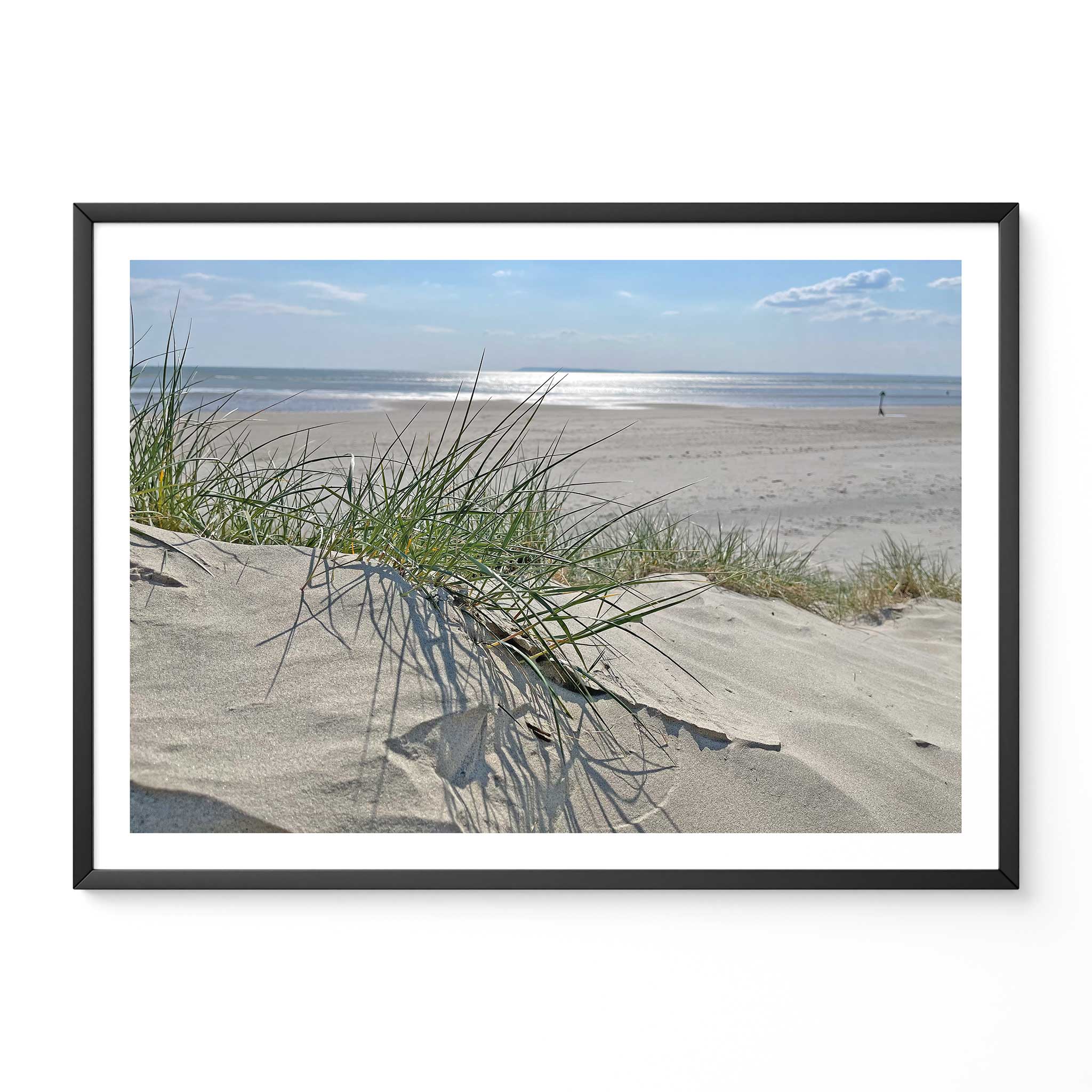 Sand Dunes On A Tranquil Beach