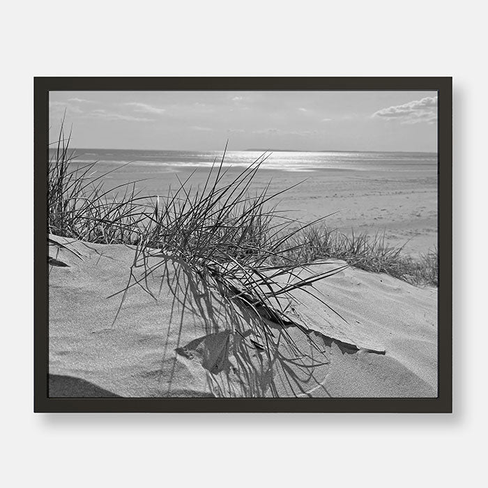Sand Dunes On A Tranquil Beach | Black and White