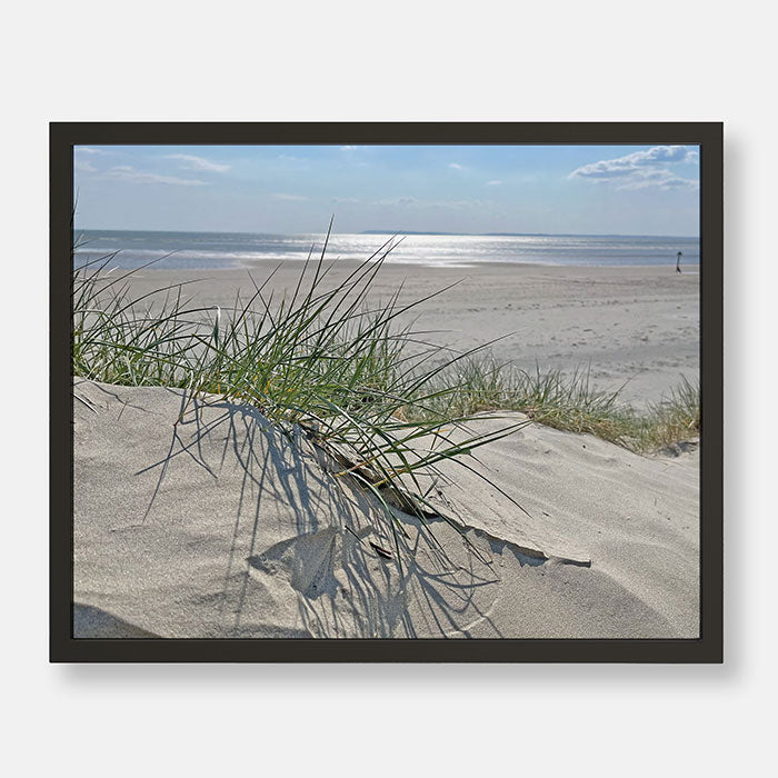 Sand Dunes On A Tranquil Beach